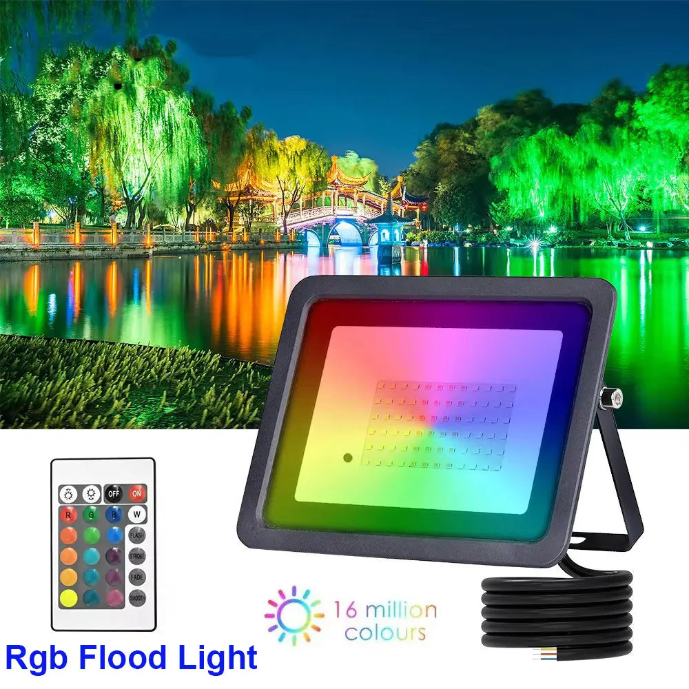 Projecteur RGB AC 220V 110V 10W 30W 50W 100W, projecteur LED extérieur IP66 étanche, télécommande, projecteur LED RGB, é