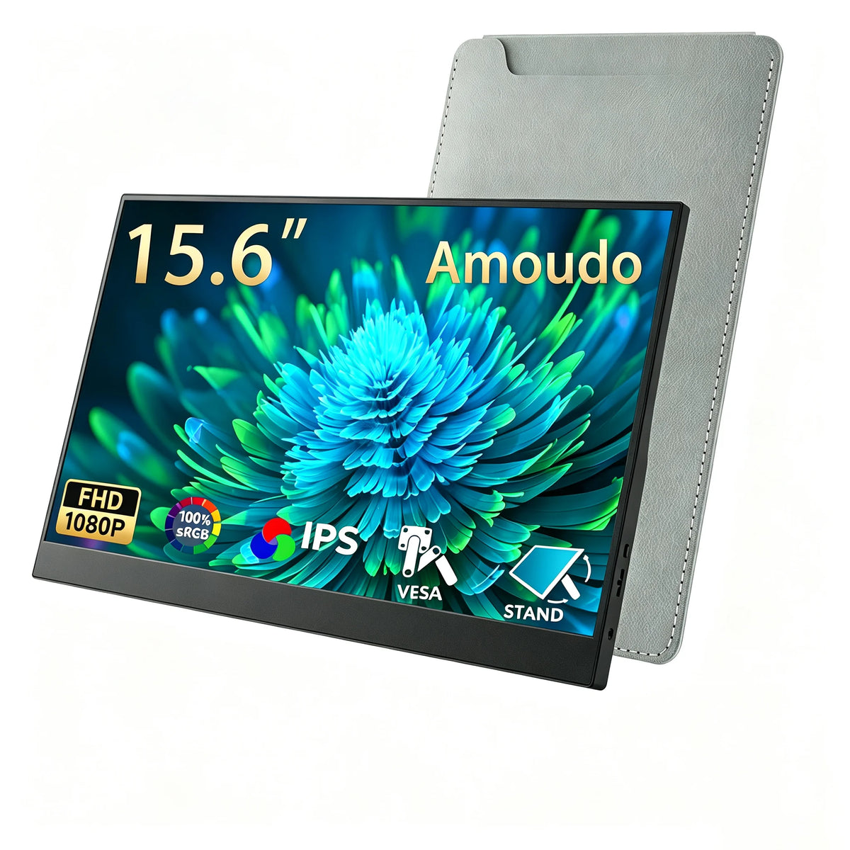 Moniteur portable Amoudo 15,6 pouces 1920x1080P, écran IPS LCD, extension d'affichage, VESA, USBC, Mini HDMI, affichage