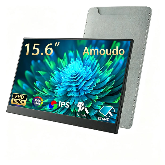 Moniteur portable Amoudo 15,6 pouces 1920x1080P, écran IPS LCD, extension d'affichage, VESA, USBC, Mini HDMI, affichage